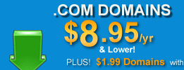 Domain Name Registration