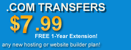 Domain Name Transfers