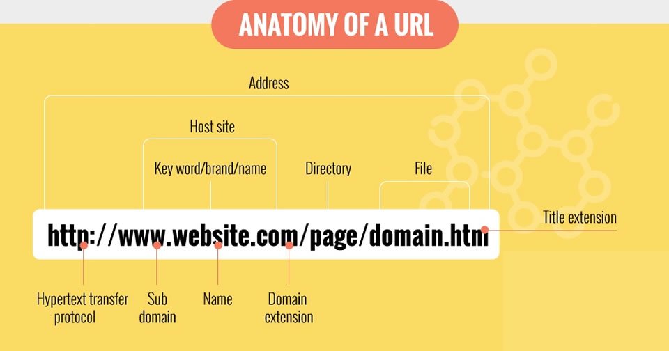 What Is A Domain Name Infographic WebsiteSpot